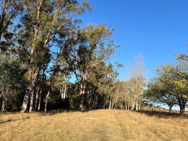 House for sale in Dilston, Tasmania