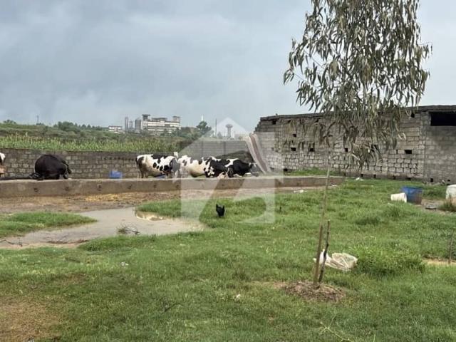 Land for sale in ہری پور, ہزارہ ڈویژن
