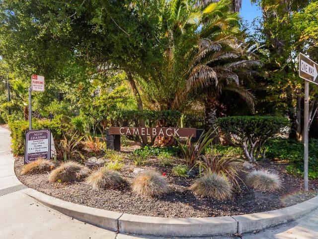 Apartment for rent in Walnut Creek, California