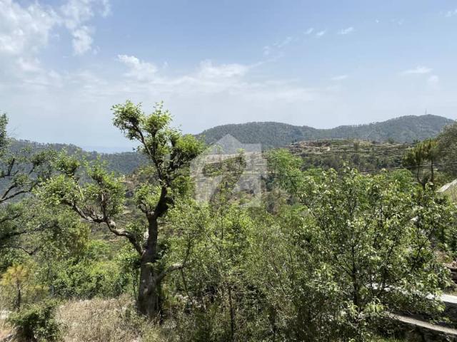 Land for sale in Haripur, North West Frontier Province