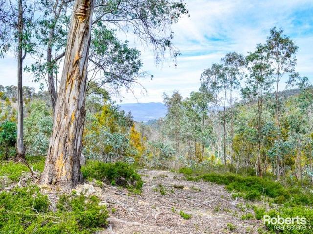 Land for sale in Magra, Tasmania