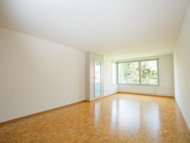 Apartment mieten in Hegnau, Volketswil