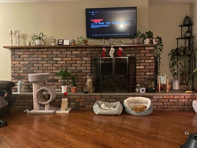 Room for rent in New Jersey