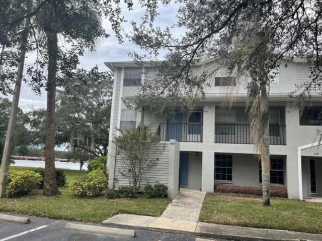 Room for rent in Tampa, Florida