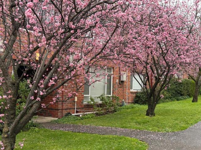 Flat for rent in Balwyn, Melbourne