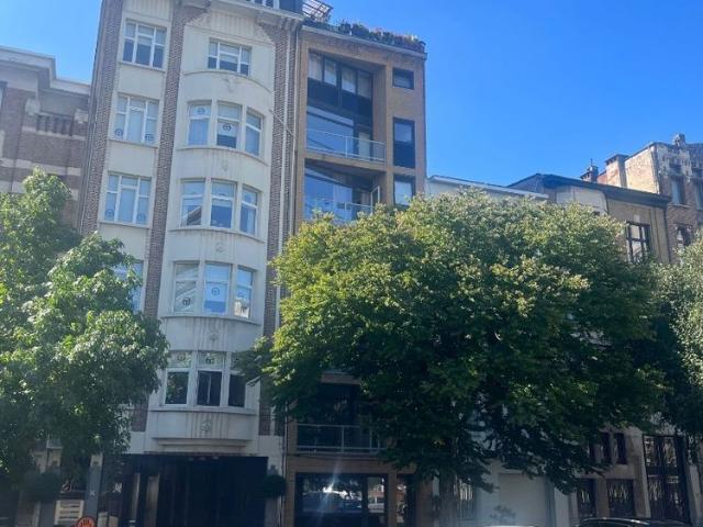Kot location à Antwerpen