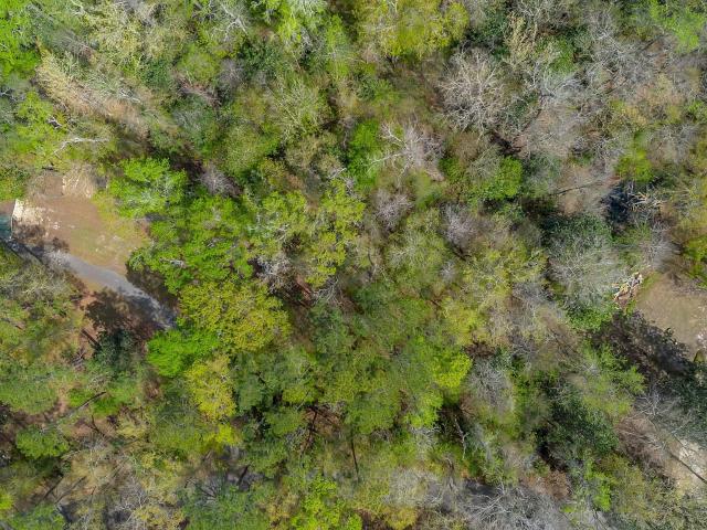 Land for sale in Havana, Florida