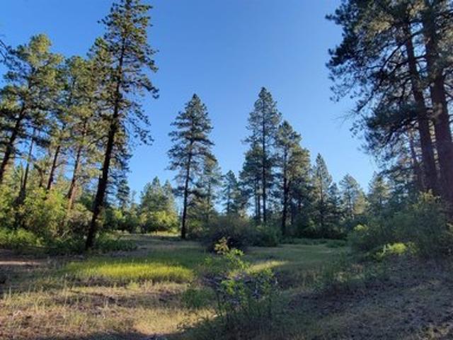 Land for sale in La Plata, Colorado