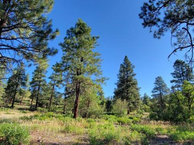 Land for sale in La Plata, Colorado