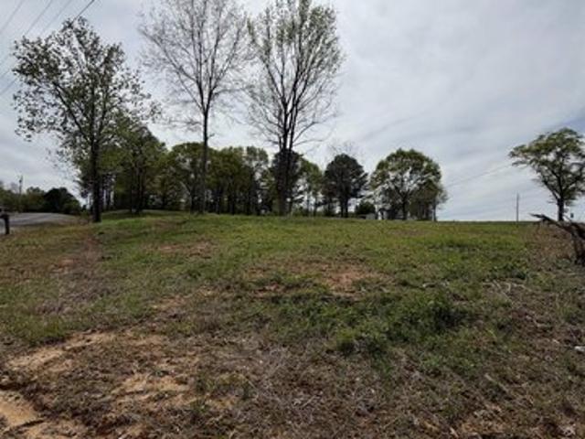 Land for sale in Holly Pond, Cullman County