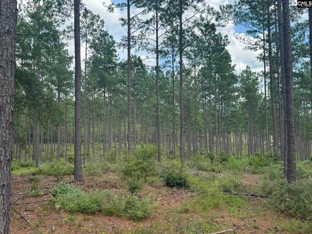 Land for sale in Swansea, South Carolina