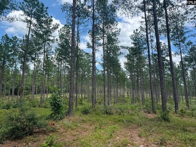 Land for sale in Swansea, South Carolina