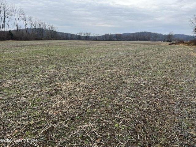 Land for sale in Caneyville, Kentucky