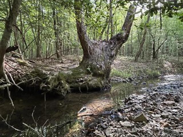 Land for sale in Granville, North Carolina