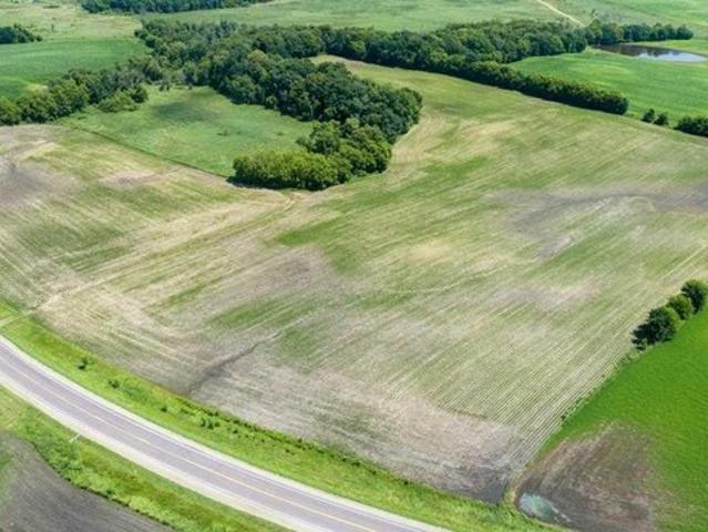 Farm for sale in Elysian, Minnesota