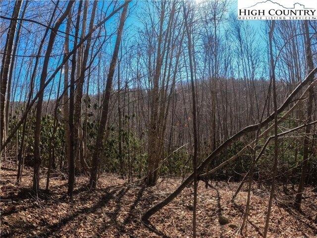 Land for sale in Elk Park