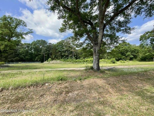 Land for sale in Lucedale, Mississippi