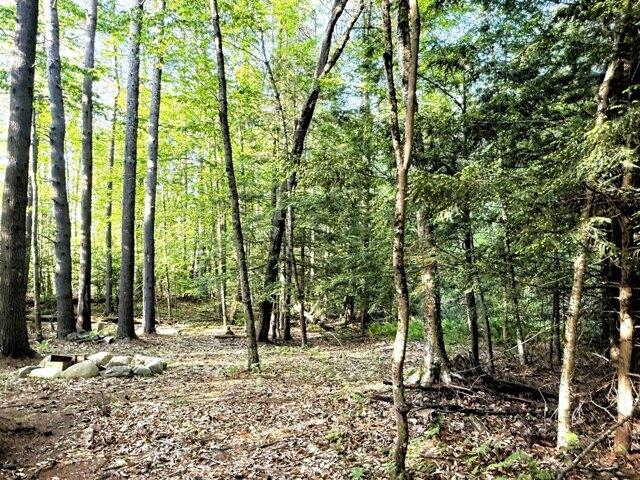 Land for sale in East Waterboro, Maine
