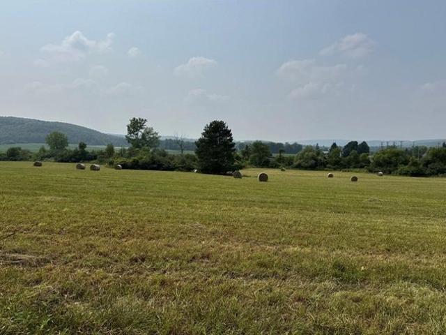 Land for sale in Montour Falls, New York