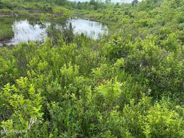 Land for sale in Lake Como, Pennsylvania