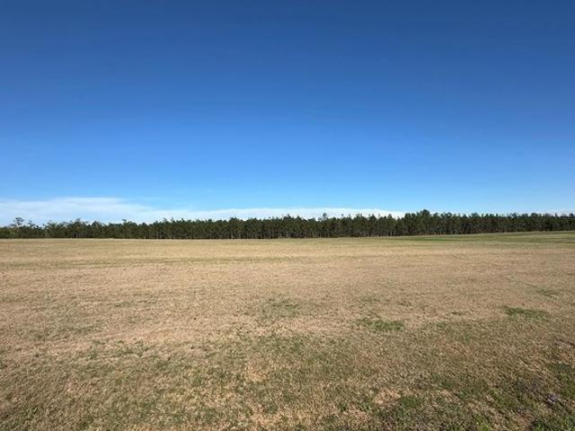 Land for sale in Douglas, Georgia