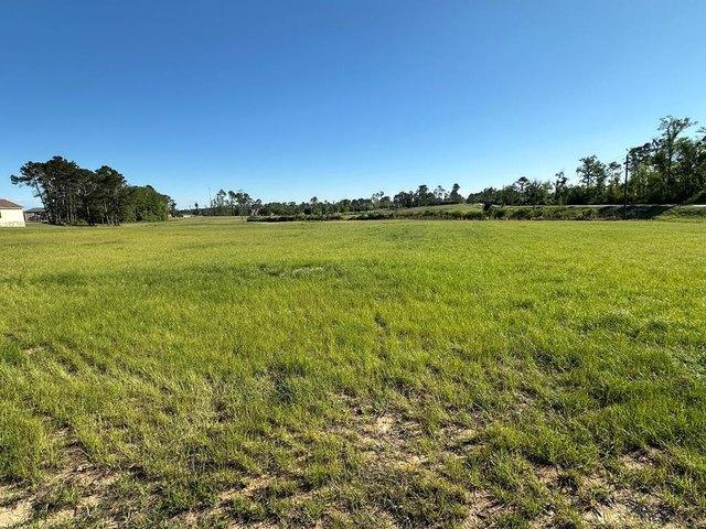 Land for sale in Douglas, Georgia