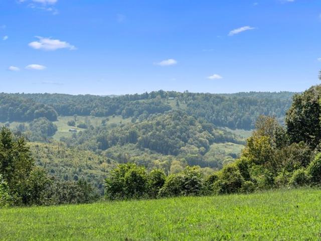Land for sale in Gainesboro, Middle Tennessee