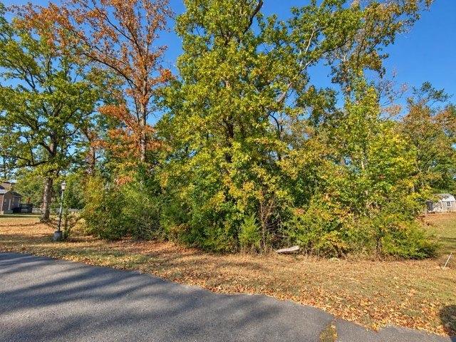 Land for sale in Counce, West Tennessee