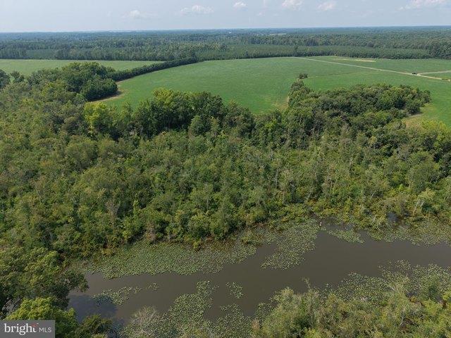 Land for sale in Dorchester, Maryland