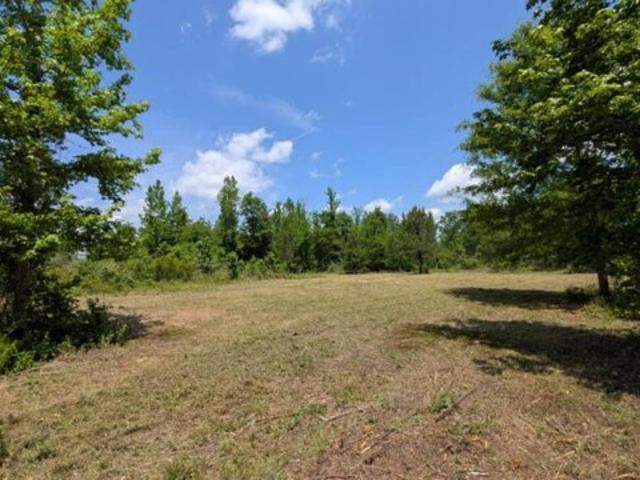 Land for sale in Luverne, Alabama