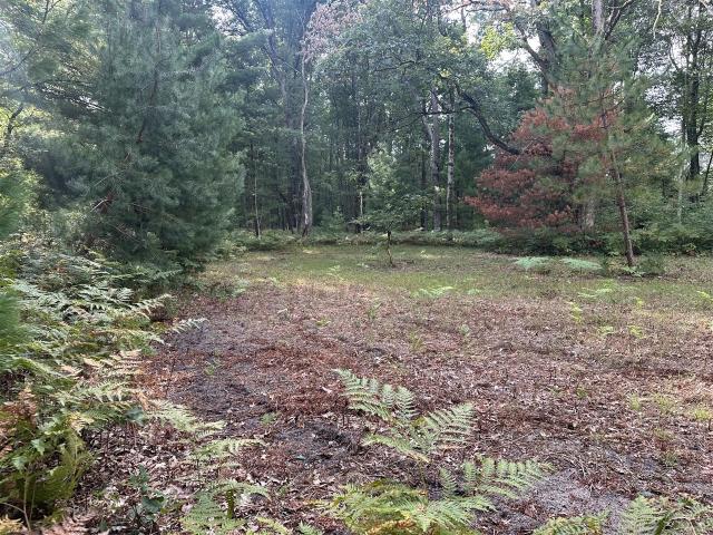 Land for sale in Lilley Township, Newaygo County
