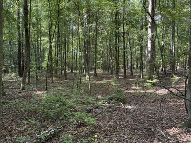Land for sale in Winterville, Georgia