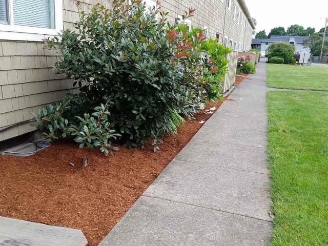 Apartment for rent in Oregonia