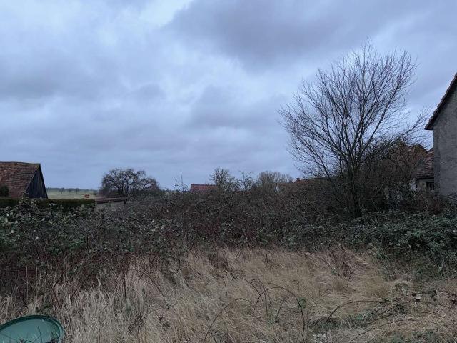 Erdgeschosswohnung kaufen in Tribsees, Vorpommern-Rügen