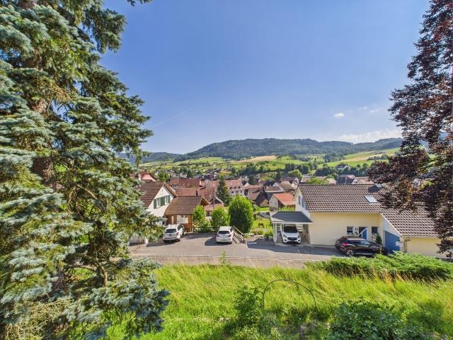 Haus kaufen in Wölflinswil, Aargau