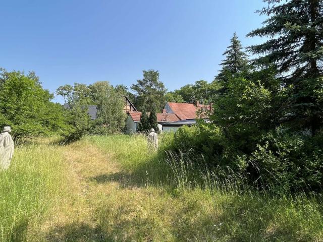 Erdgeschosswohnung kaufen in Rotta, Kemberg