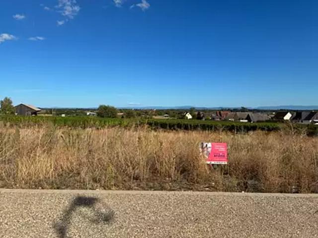 Terrain vente à Beblenheim, Collectivité européenne d'Alsace