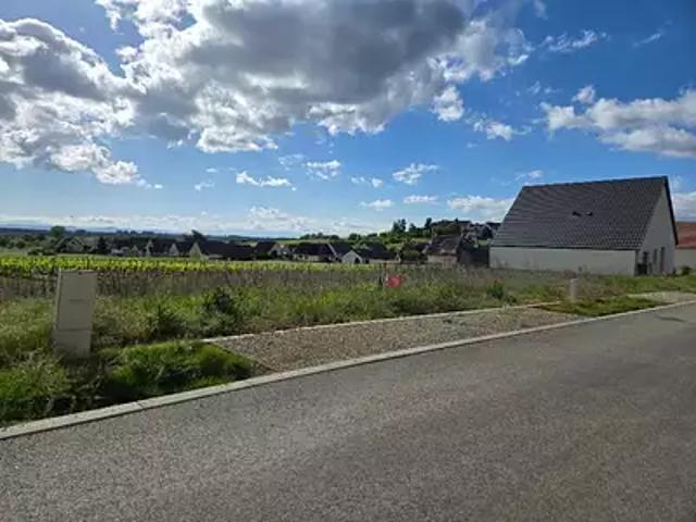 Terrain vente à Colmar-Ribeauvillé, Beblenheim