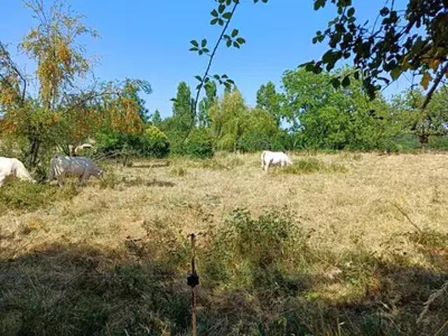 Terrain vente à Parthenay, Béceleuf