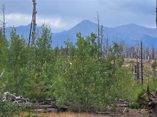 Land for sale in Fort Garland, Colorado