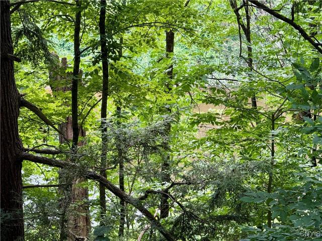 Land for sale in Oneida, New York