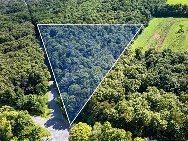 Farm for sale in Skaneateles, New York