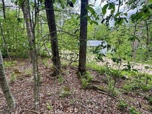 Land for sale in Berkshire, Massachusetts