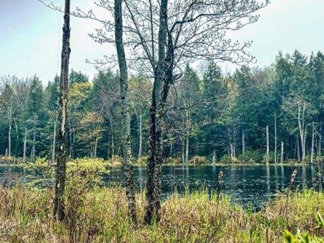 Land for sale in Becket, Berkshire County