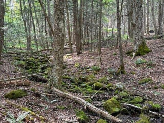 Land for sale in Becket, Berkshire County