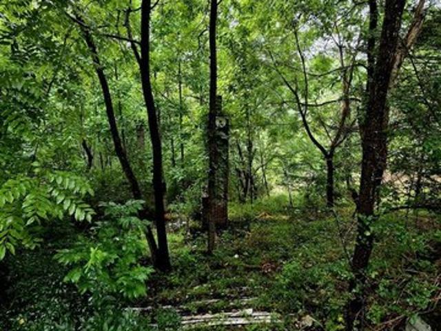 Land for sale in Princeton, West Virginia
