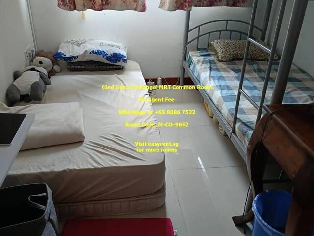 Room for rent