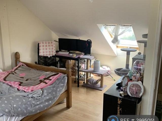 Apartment for rent in Plasnewydd, Falcon Lodge