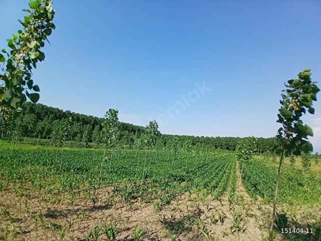 Akyazi, Sakarya içerisinde satılık Arsa