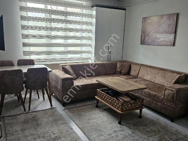Erzincan Merkez, Erzincan içerisinde kiralık mülk